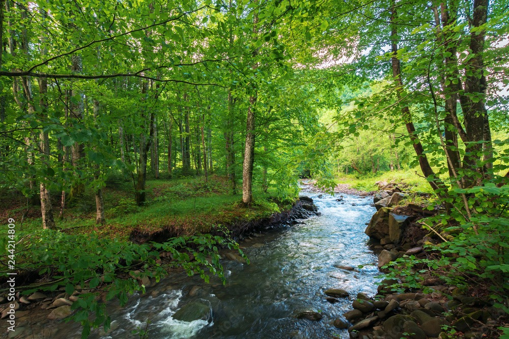 Timber sourcing UAE - pic1