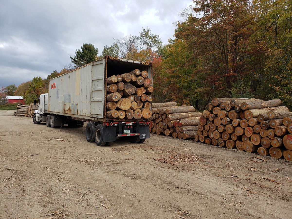 Timber sourcing UAE - pic6